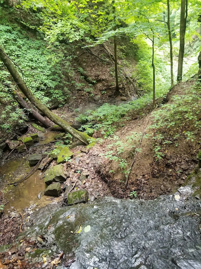 Trillium Trail premise in Fox Chapel, PA