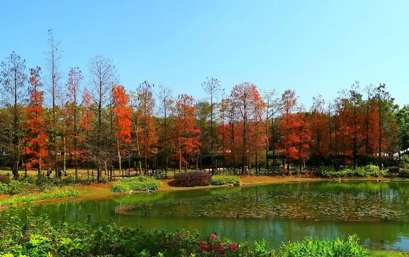 Tsing Yi Park park in Kwai Tsing, HK