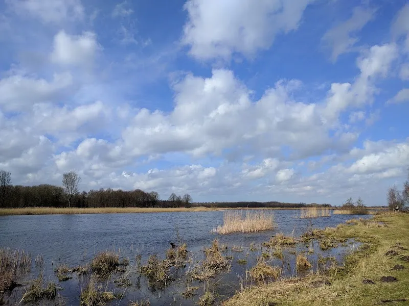 Twiske nature preserve in Zaanstad, NH