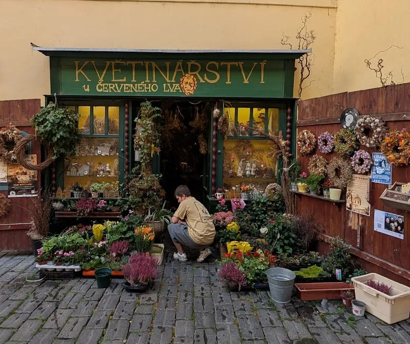 U Červeného lva Czech in Brandýs nad Labem, CZ