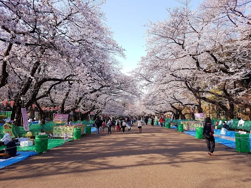 Ueno Park park in Tokyo, TK