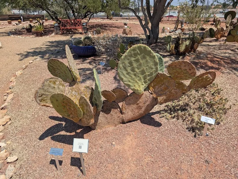 University of Nevada, Reno Extension - Clark County Botanic Gardens botanical garden in Paradise, NV