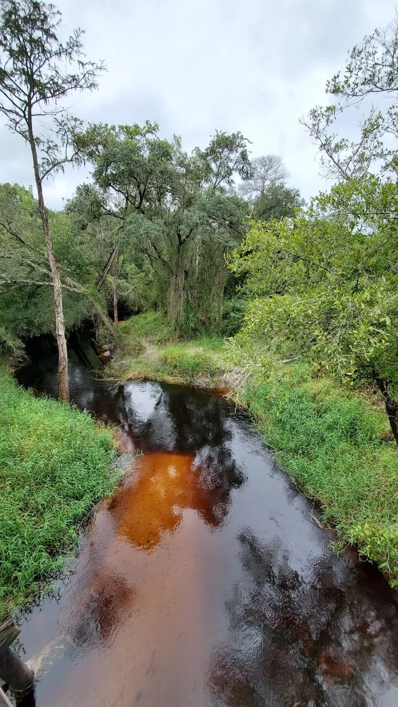 Upper Tampa Bay Trail route in Lutz, FL