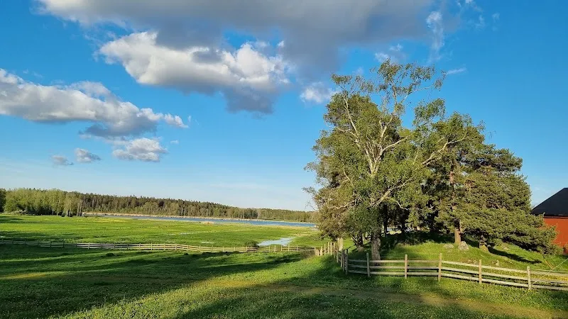 Västra Järvafältet nature preserve in Solna, Stockholm