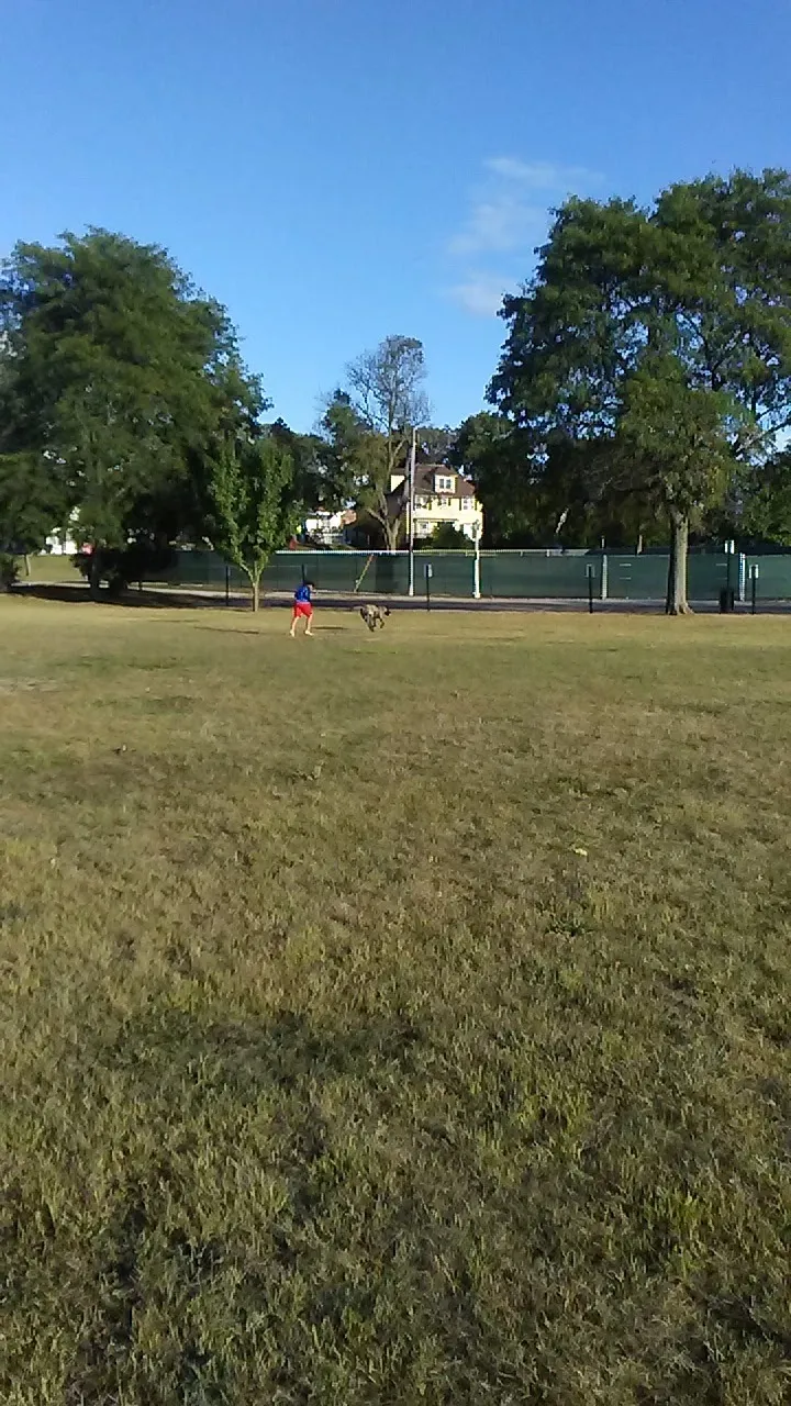 Valley Court Park park in East Lansing, MI