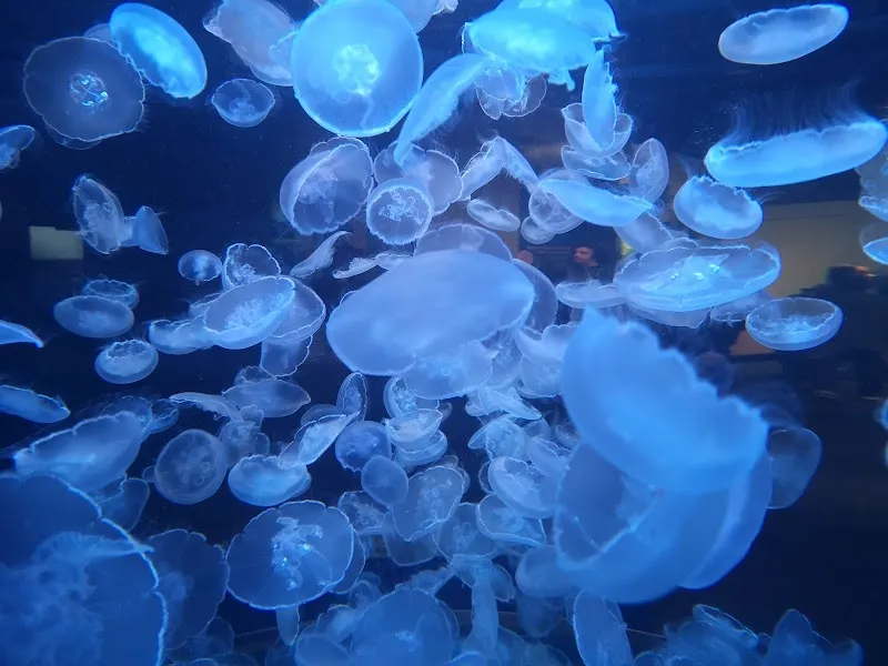 Vancouver Aquarium aquarium in Vancouver, BC