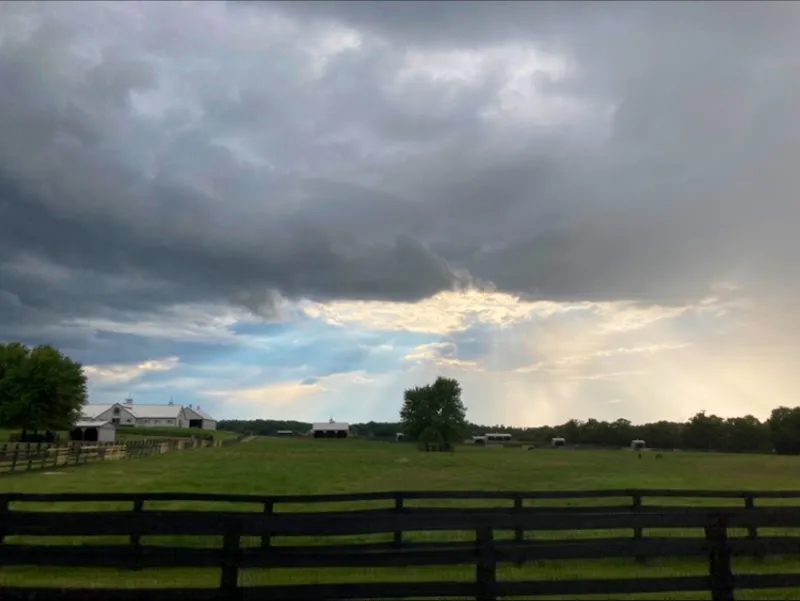 Vandorf Village Equestrian Centre farm in Newmarket, ON
