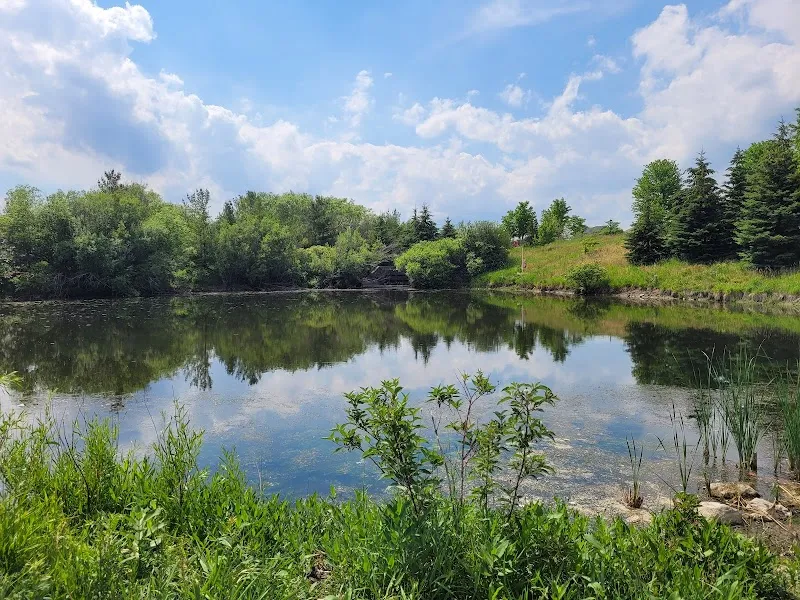 Vellore Woods Park city park in Vaughan, ON
