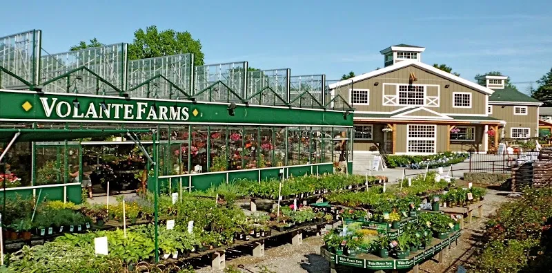 Volante Farms farmers market in Needham, MA