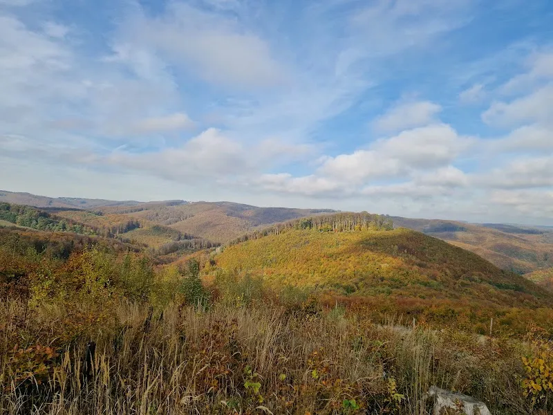 Waldgebiet hiking area in Kagran, VIE