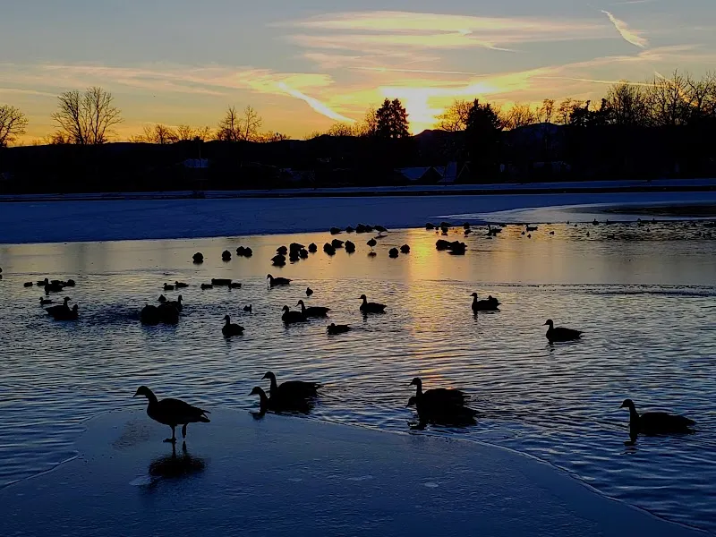 Washington Park neighborhood in Denver, CO