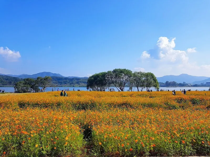 Water Garden tourist attraction in Namyangju, GG