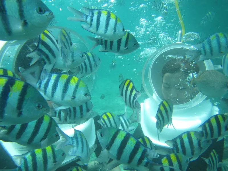 Water Sport by Wira Tour Bali (Office) adventure sports center in Klungkung, Bali