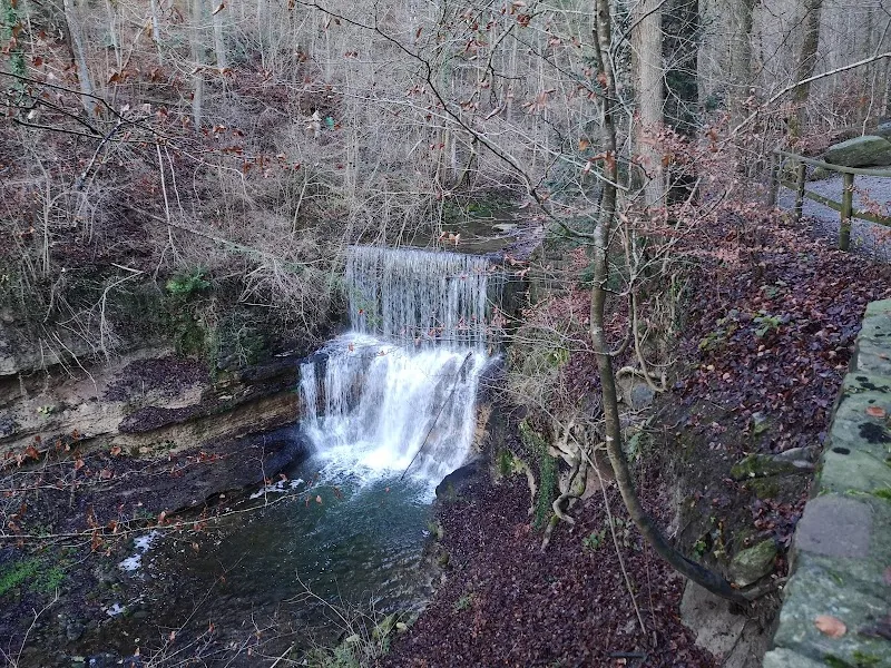 Waterfall hiking area in Küsnacht, ZH