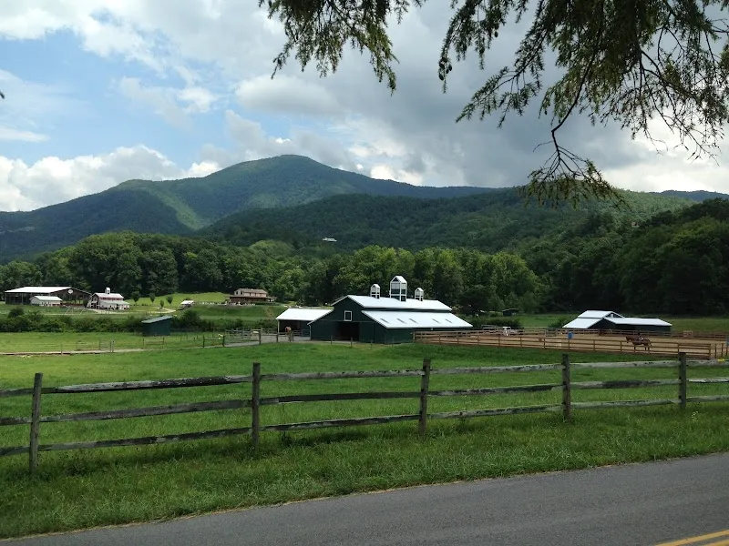 Wears Valley Ranch Equestrian Program summer camp organizer in Wears Valley, TN