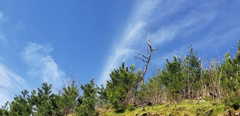 Wears Valley Road route in Wears Valley, TN