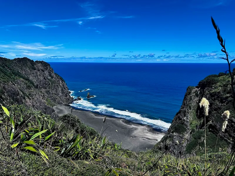 West Coast Bush Walk outdoor adventure in Piha, AKL