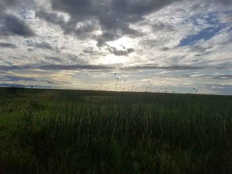 Westham Island Dyke Trail outdoor adventure in South Delta, BC