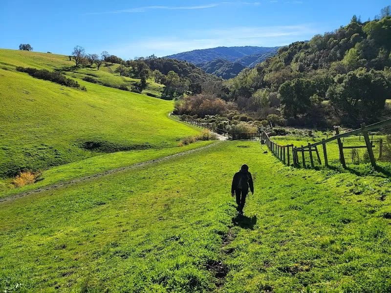 Westwind Community Barn stable in Los Altos Hills, CA