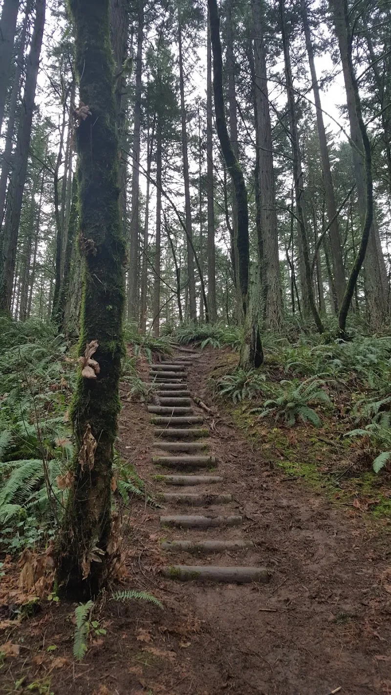 Wilderness Park park in West Linn, OR