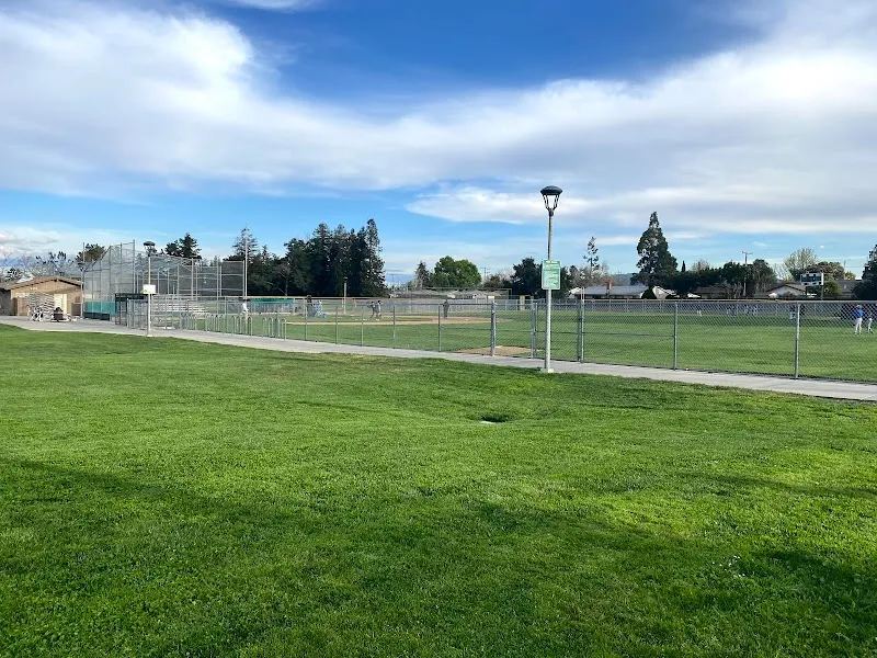 Wilson Park park in Cupertino, CA