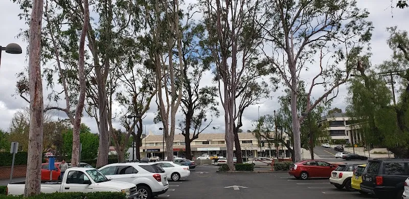 Woodland Hills Branch Library library in Woodland Hills, CA