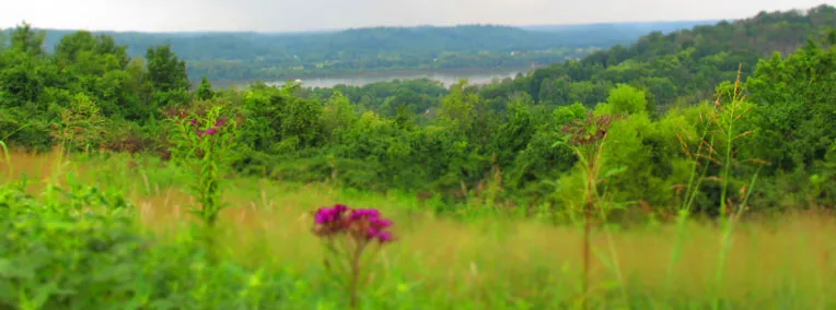 Woodland Mound park in Oakley, OH