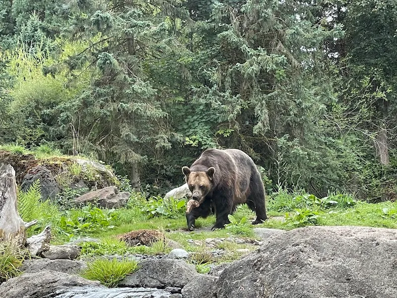 Woodland Park Zoo zoo in Seattle, WA