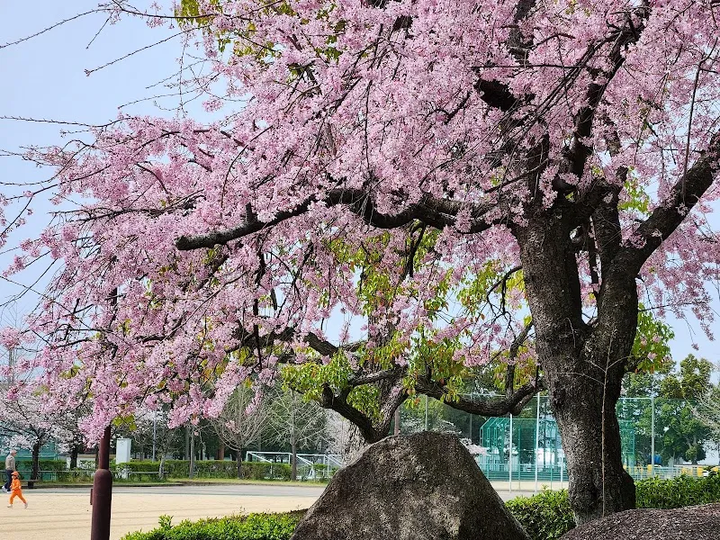 Yawata Park park in Yawata, KYO