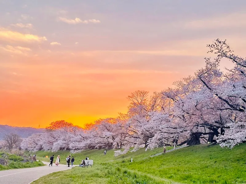Yodogawa Kasen Park Sewari Area park in Yawata, KYO