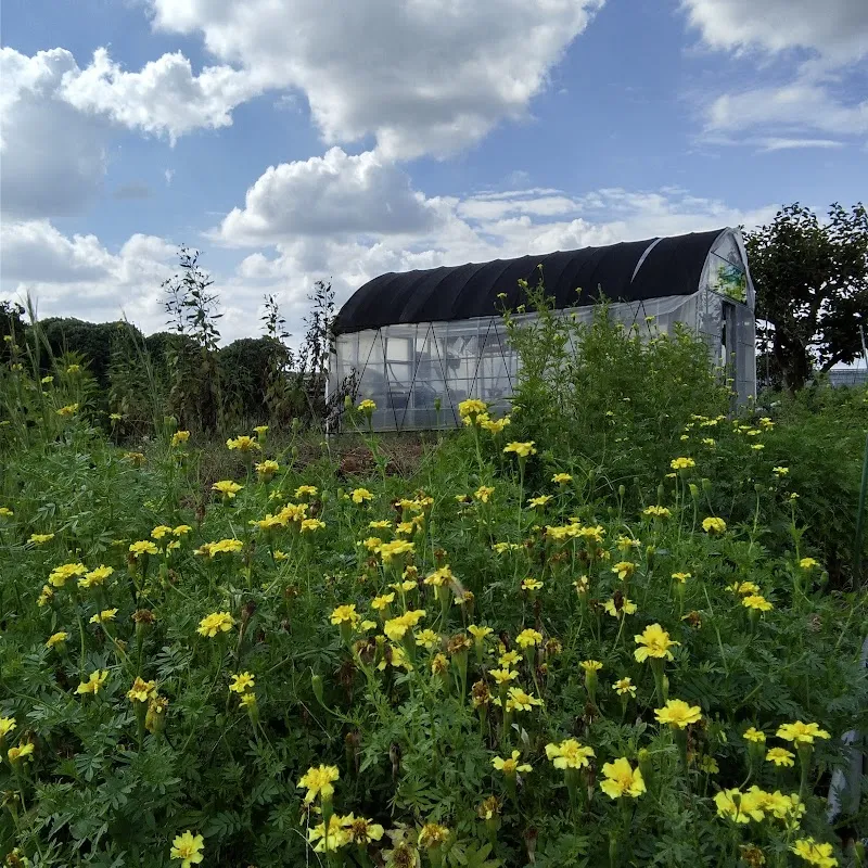 Yokohama Satsukigaoka Farm service in Tsurugashima, Saitama
