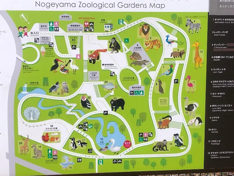 Yokohama Zoo (Oji Zoo) zoo in Yokohama, YH