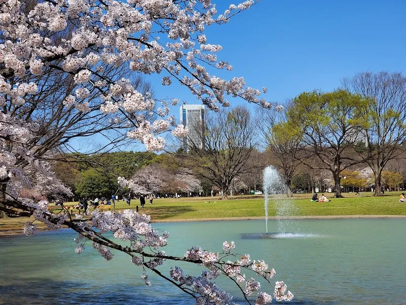 Yoyogi Park park in Tokyo, TK