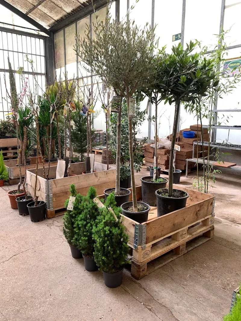 Zona Verde Arroyo Torote nature in San Fernando de Henares, Madrid