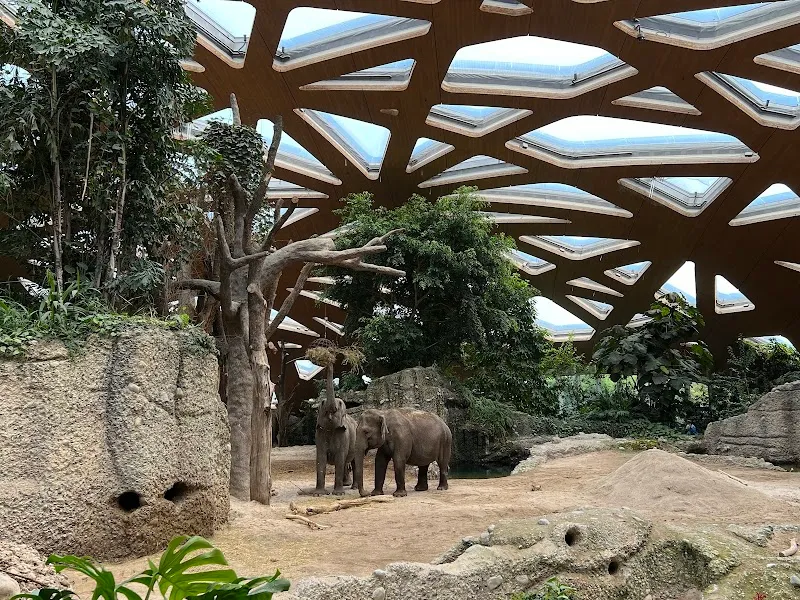 Zoo Zürich zoo in Zurich, ZH